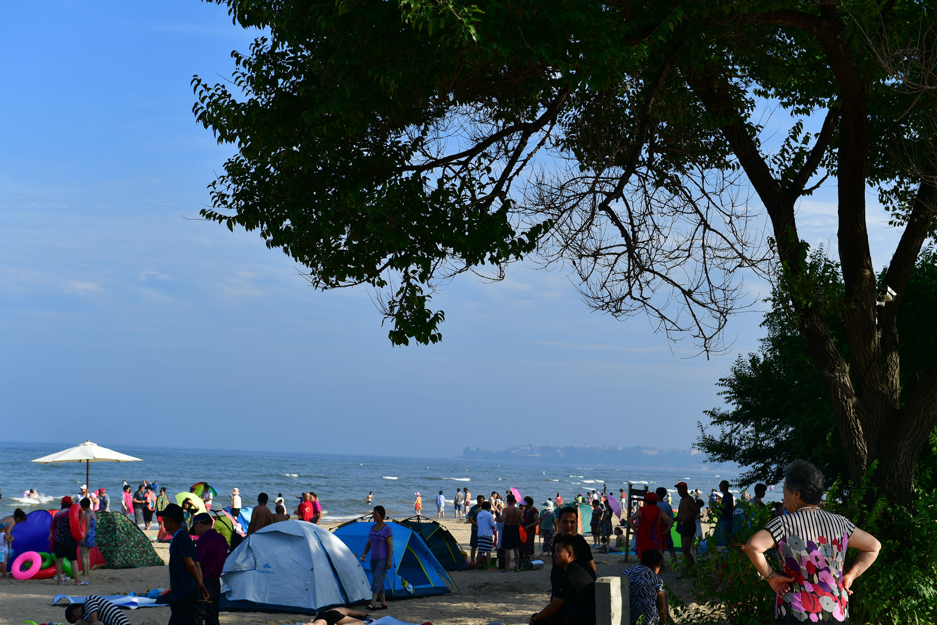 DSC_5138.jpg
