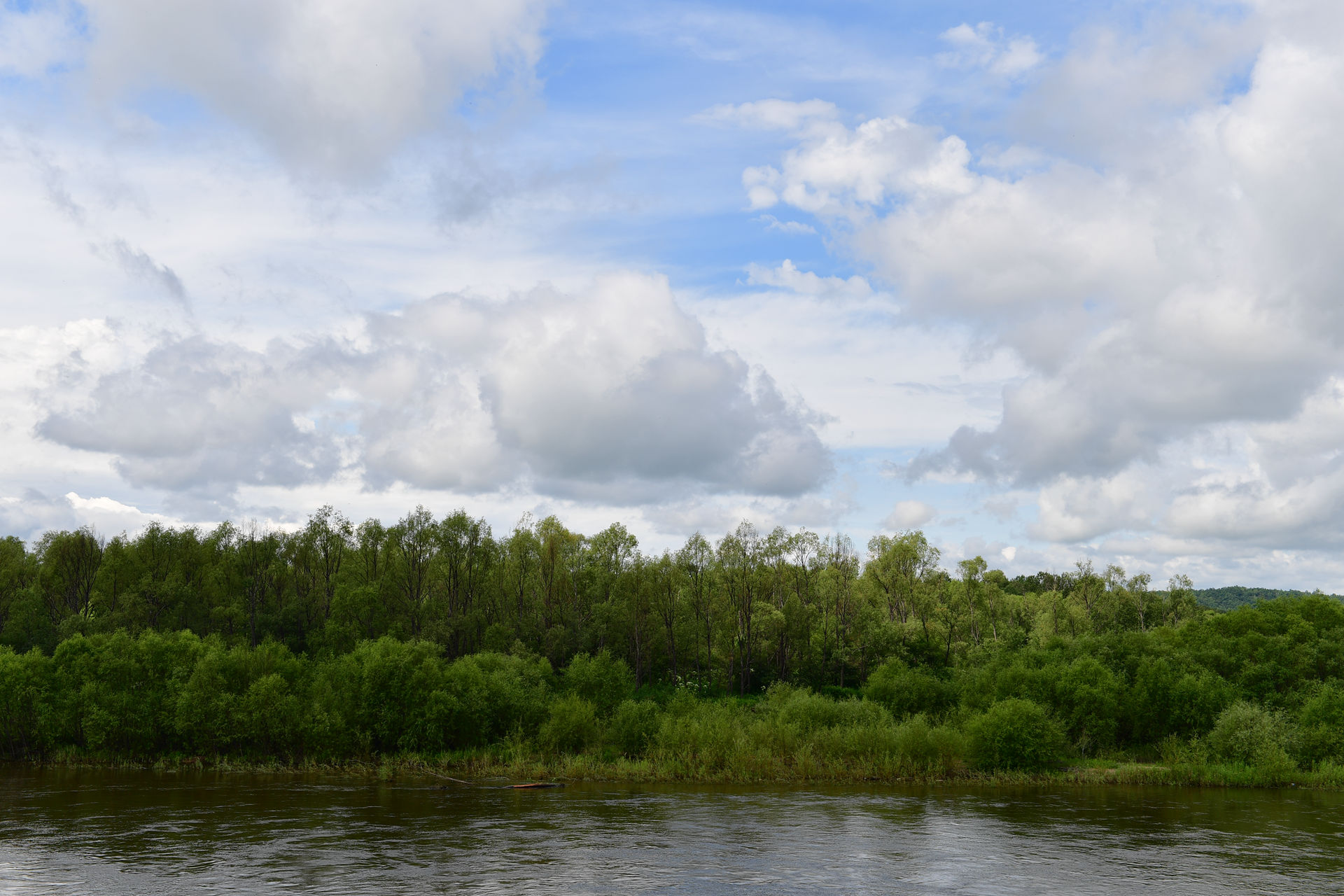 DSC_4981.jpg