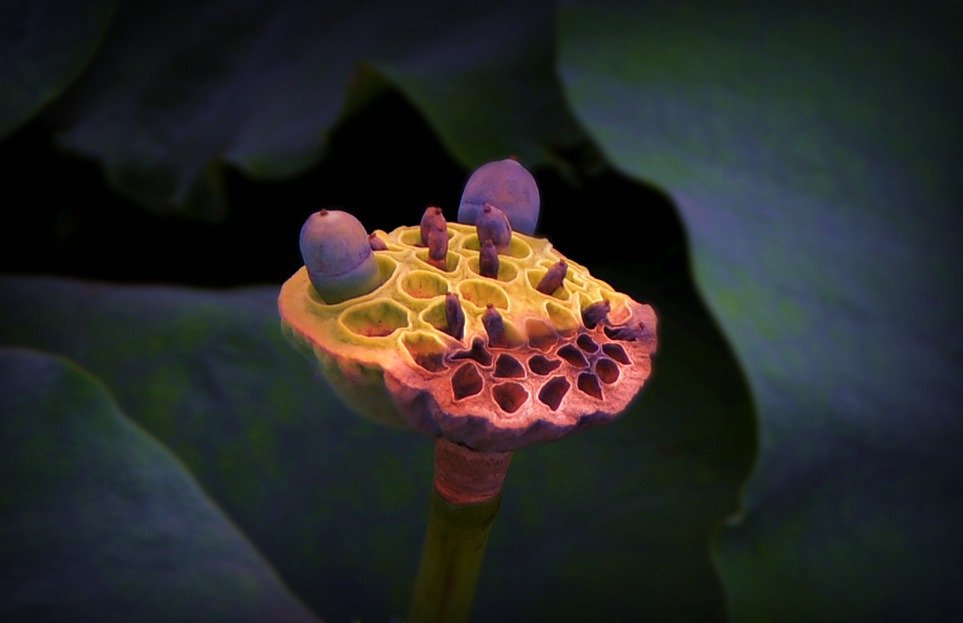 DSC_0084_副本.jpg