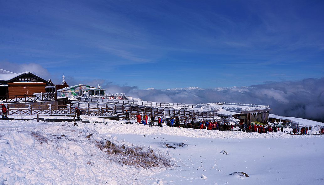 DSC_9835_副本.jpg