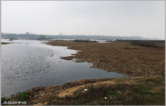 啊，白河，全是水。。。。。。