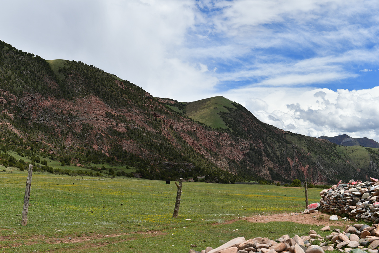 DSC_6944.jpg