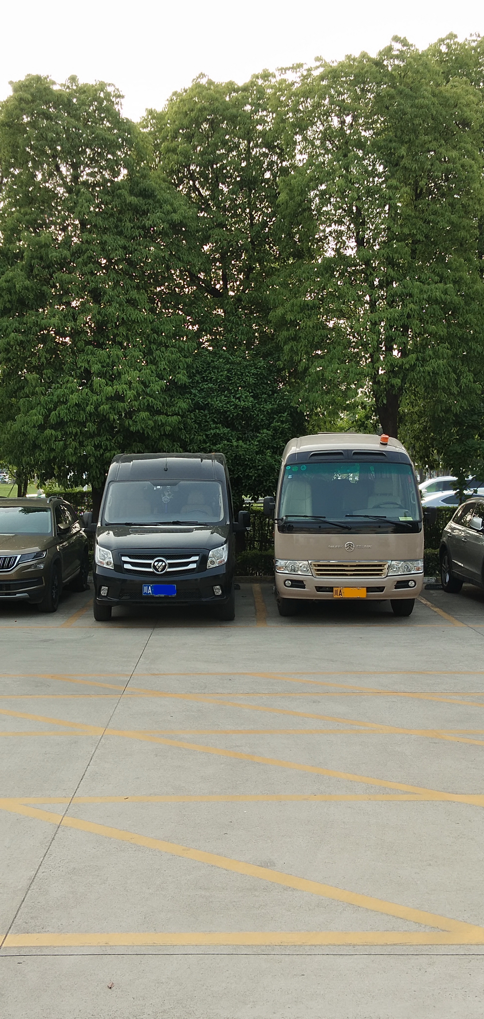 这个是图雅诺与考斯特级别的一个对比照片，供车友参考。