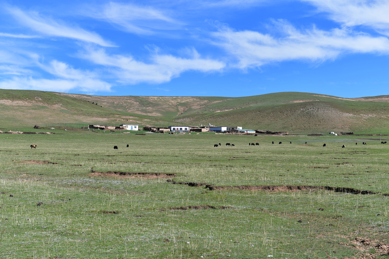 DSC_6967.jpg
