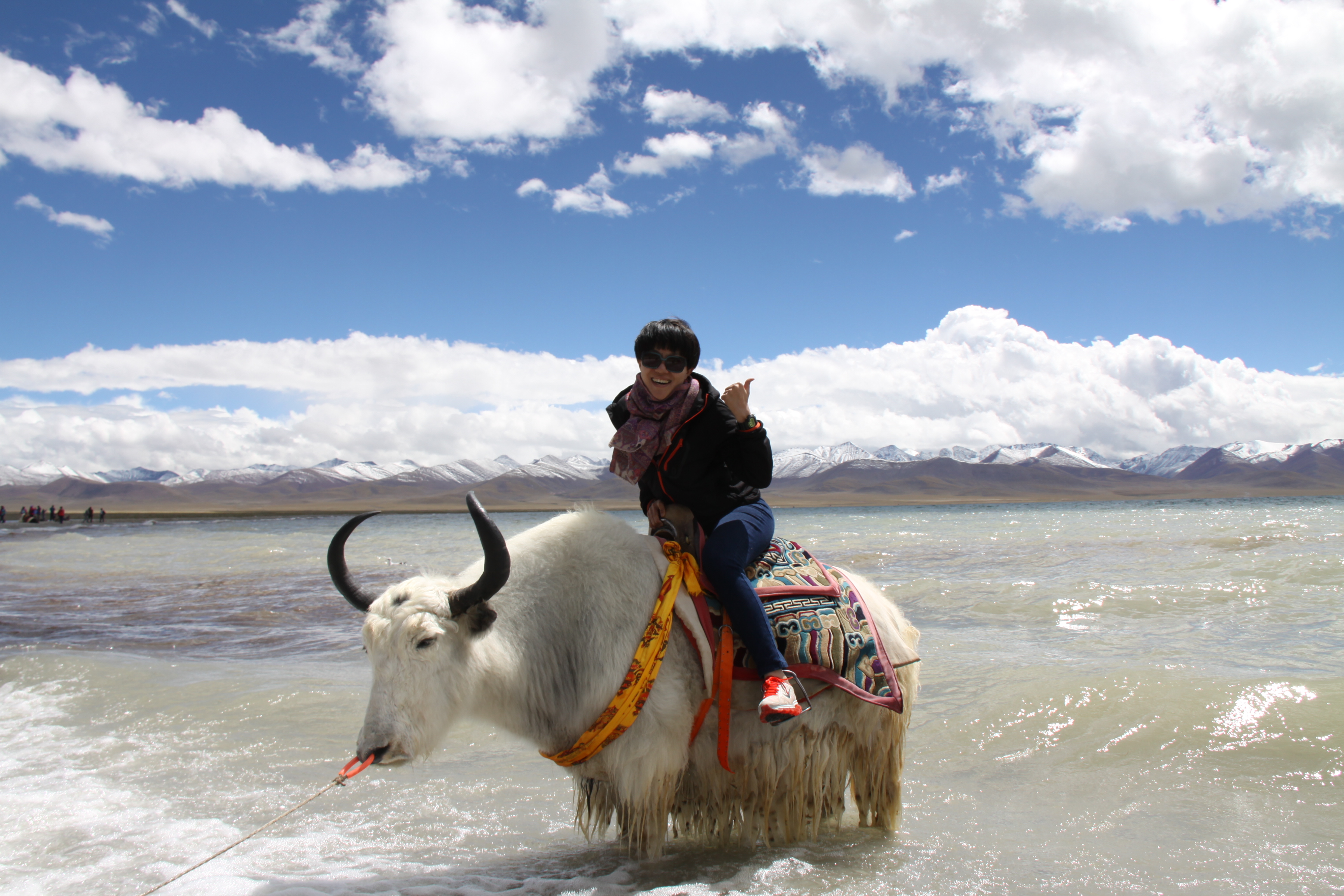 让我媳妇出个镜吧