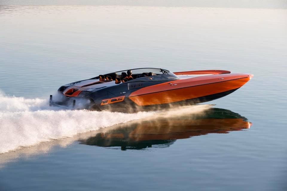 TRULIO264-01-1.jpg