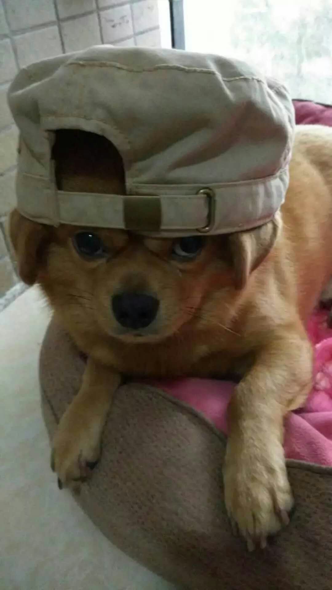 微信图片_20210108123451.jpg