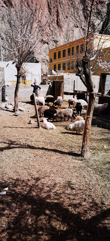 IMG_20210325_130301.jpg