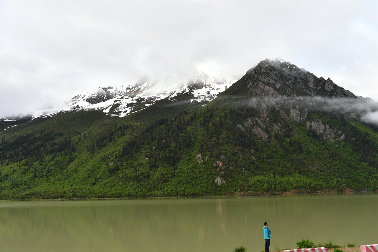 DSC_7154.jpg
