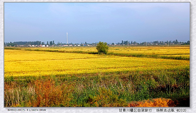 IMG_20200914_090015_副本.jpg