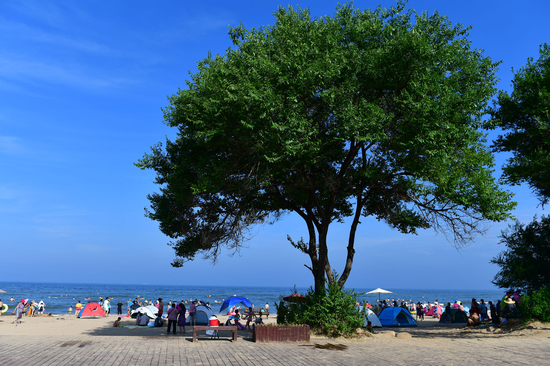 DSC_5136.jpg