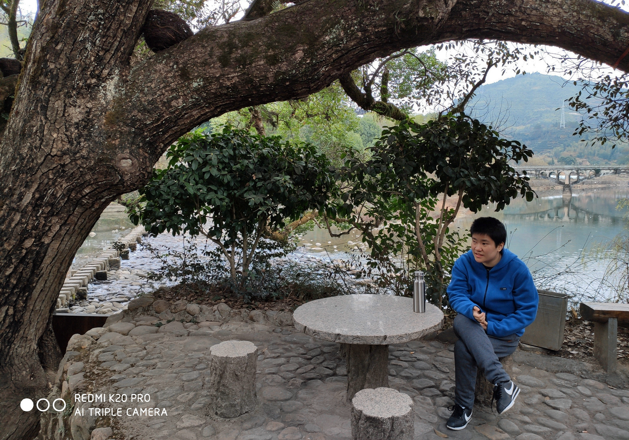 聚仙亭东面桥头坪石阶下有三株古樟，旁逸的枝叶遮挡出好大一片阴凉地。