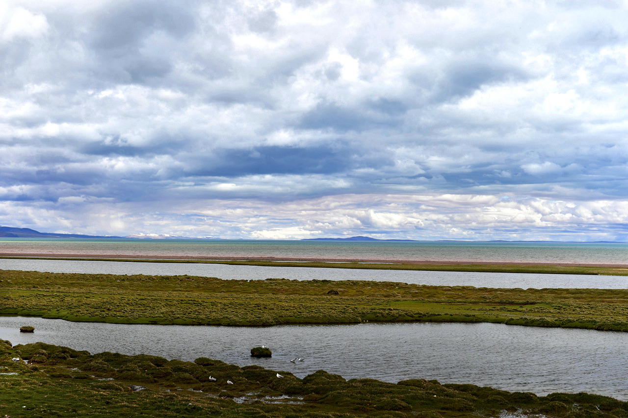 DSC_7042.jpg