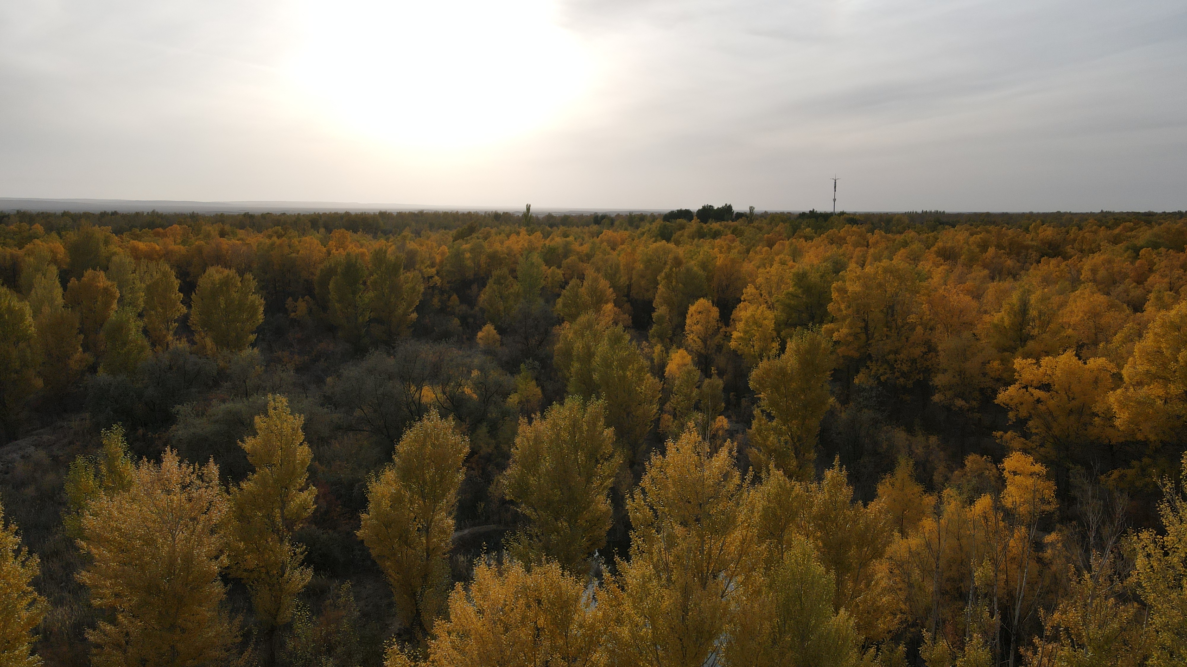 DJI_0100.JPG