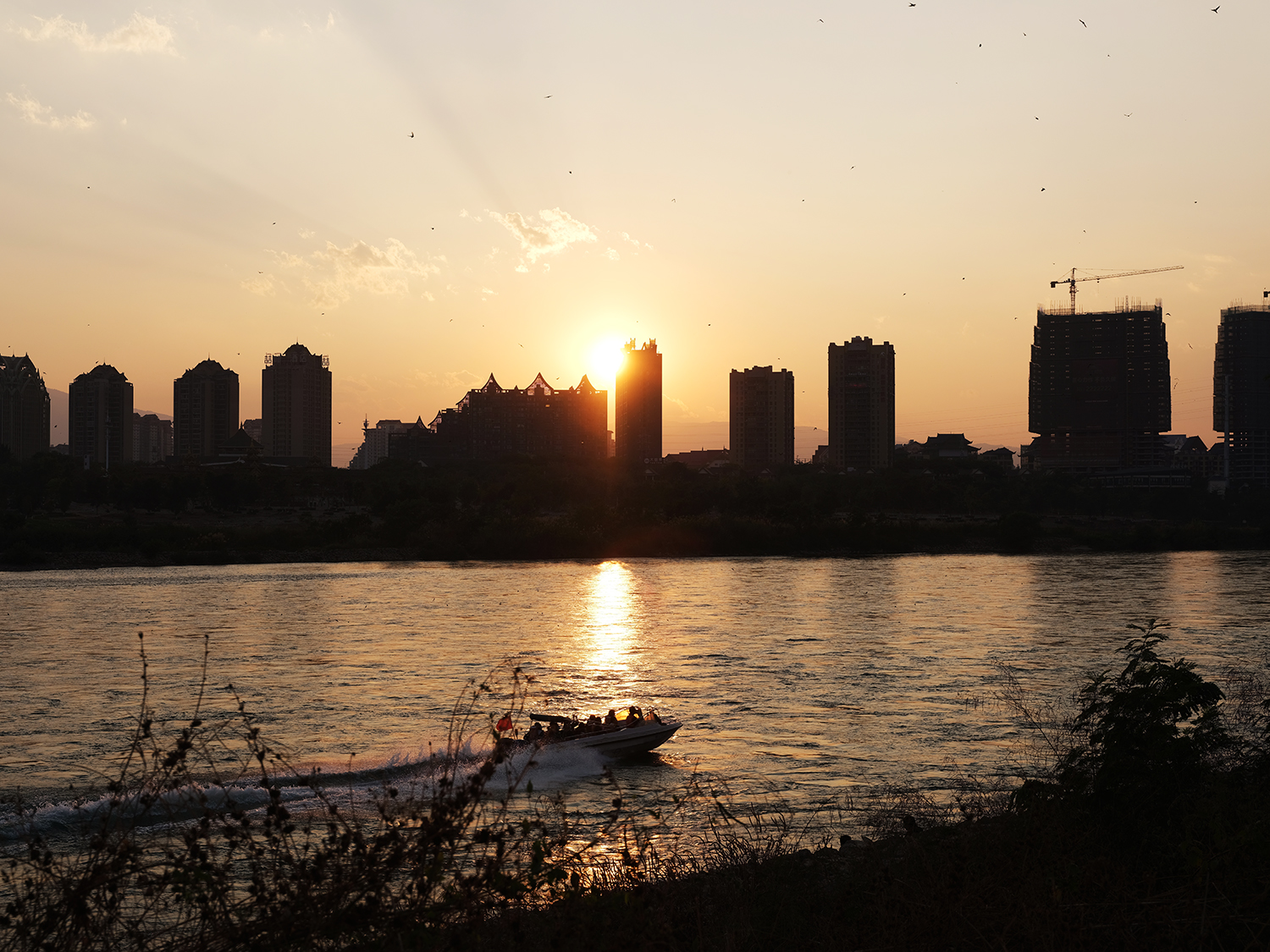DSCF2733.jpg