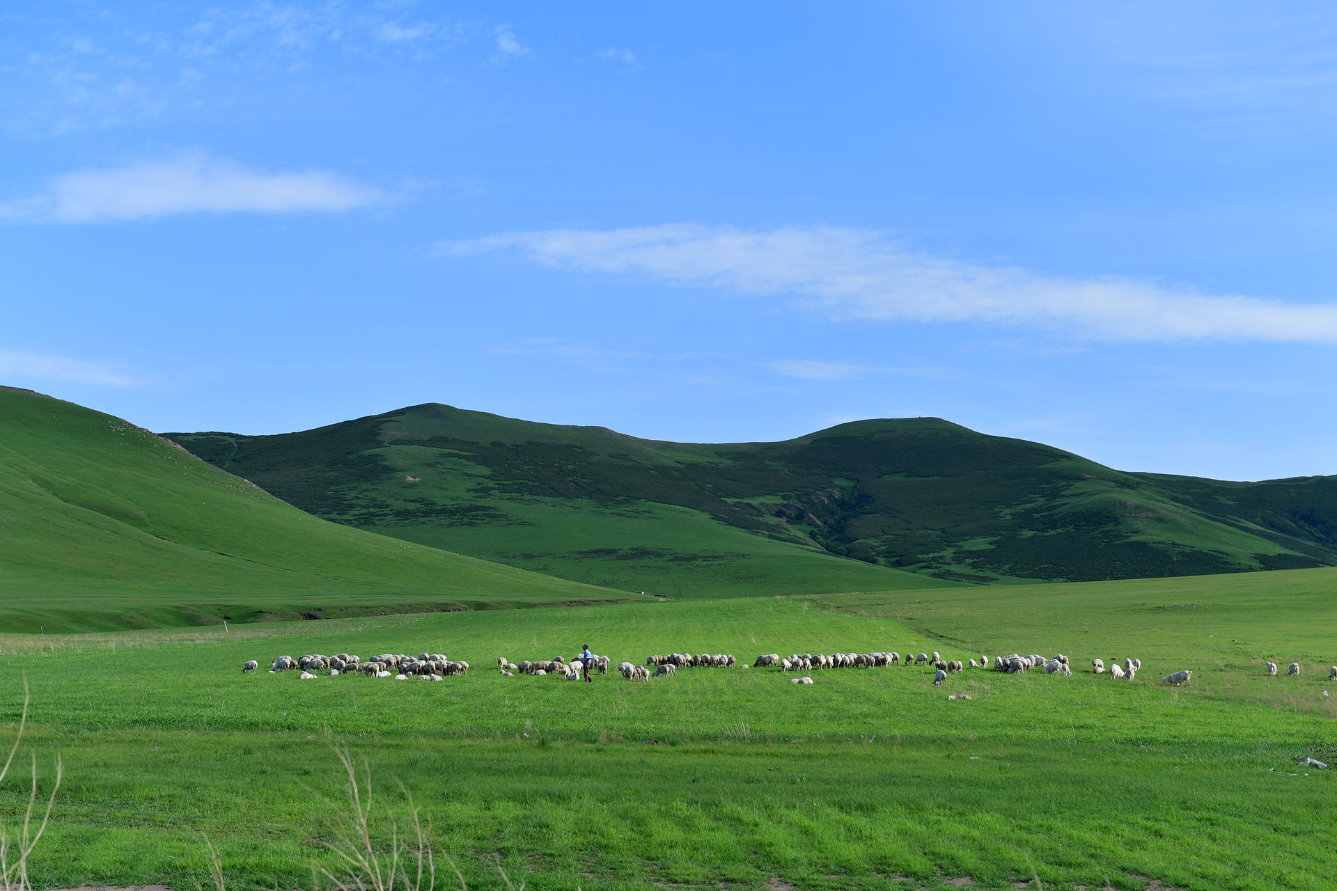 DSC_4686.jpg