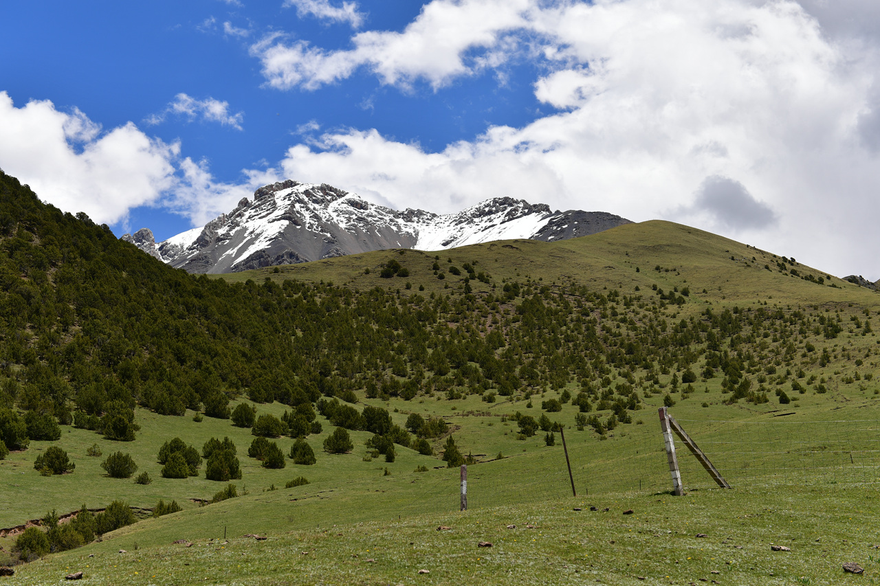DSC_6927.jpg