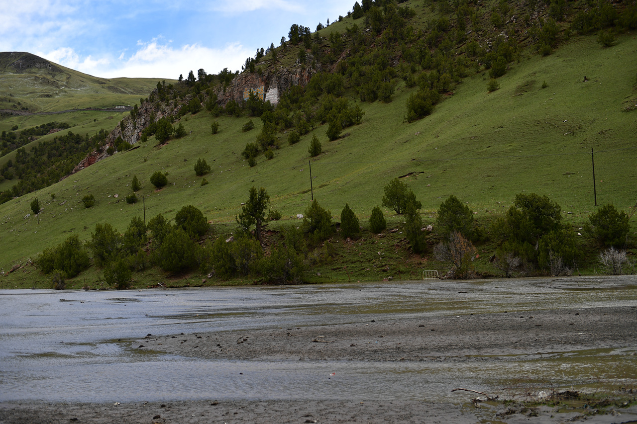 DSC_6950.jpg