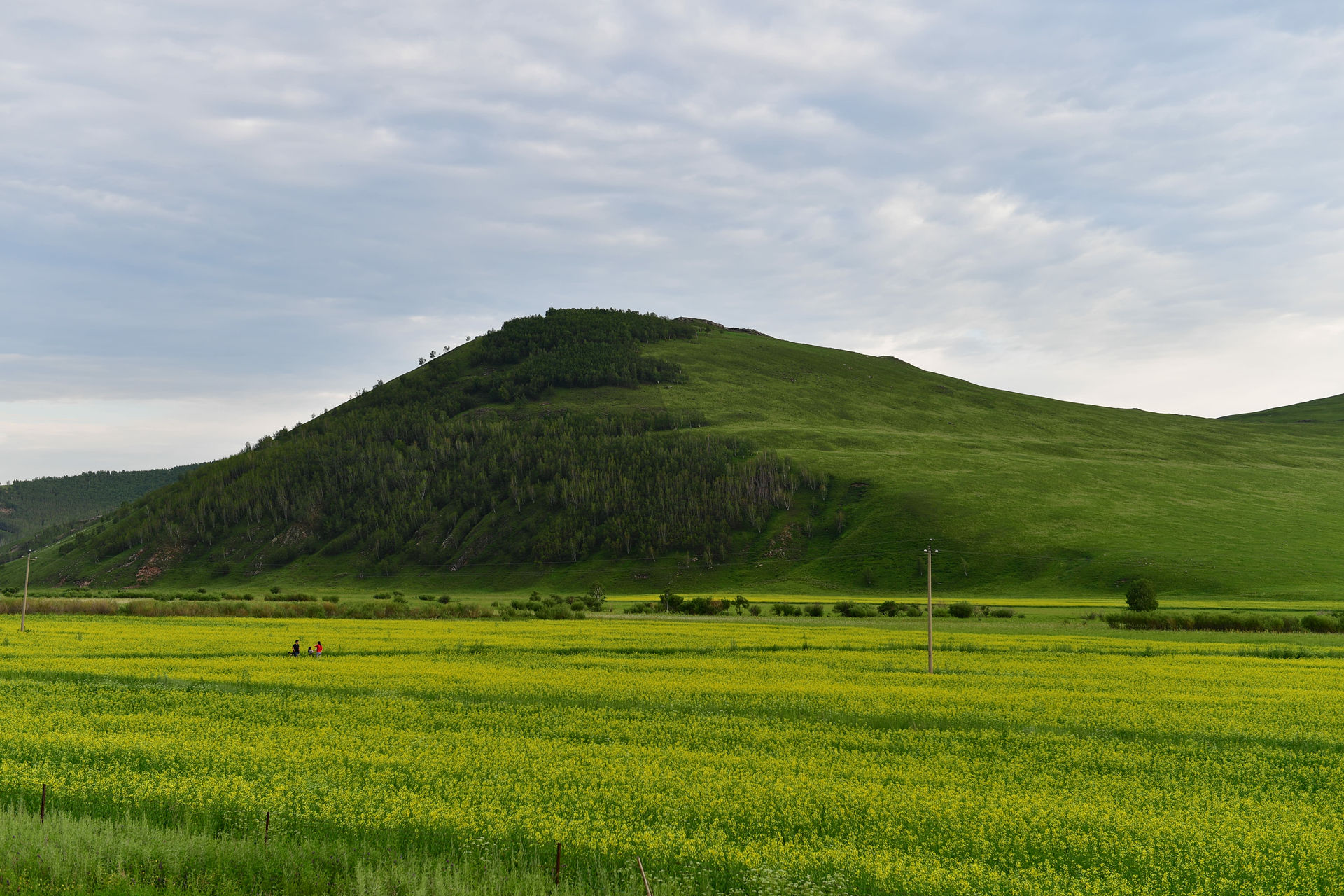DSC_4703.jpg