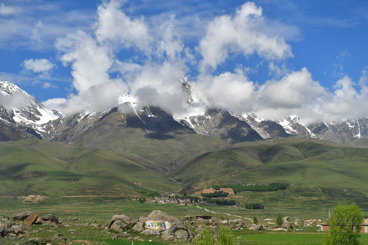 DSC_6862.jpg