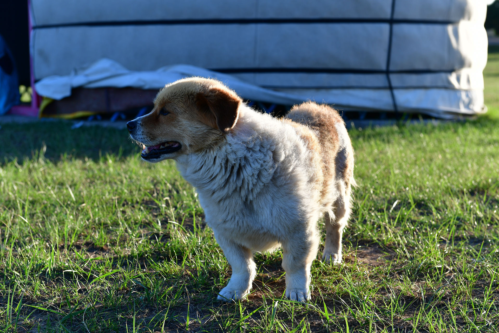 DSC_4654.jpg