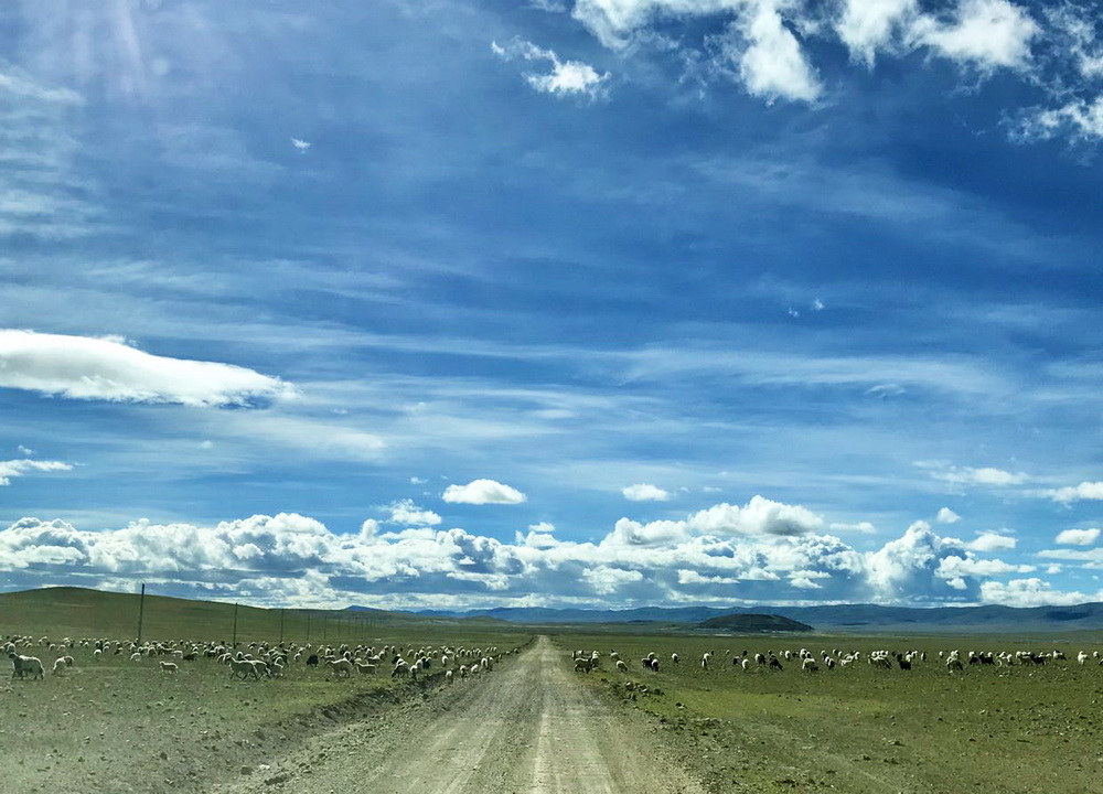 终于上了一条砂石路，依藏民所指，继续前行。