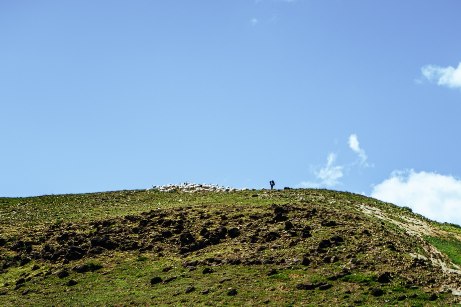 山坡上的牧羊人