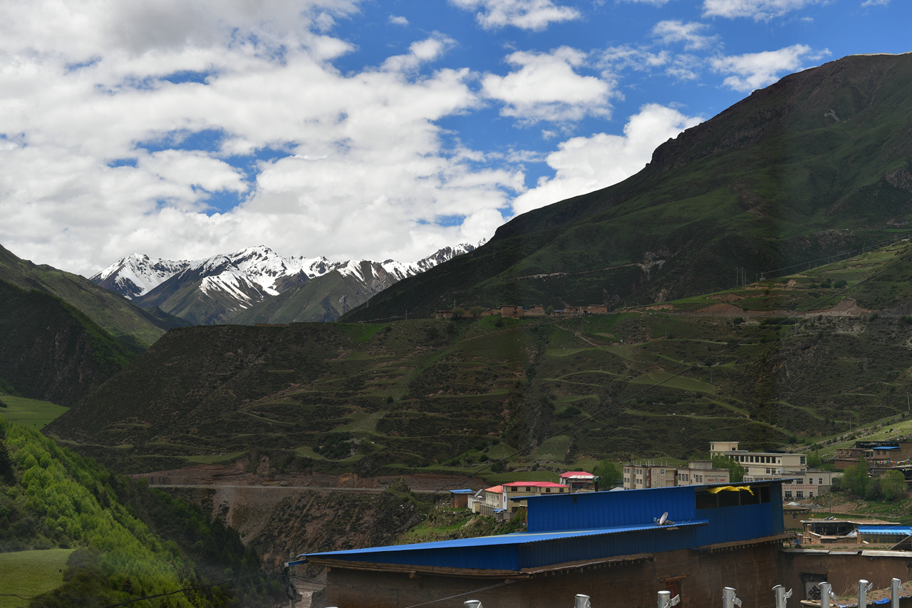 DSC_6994.jpg