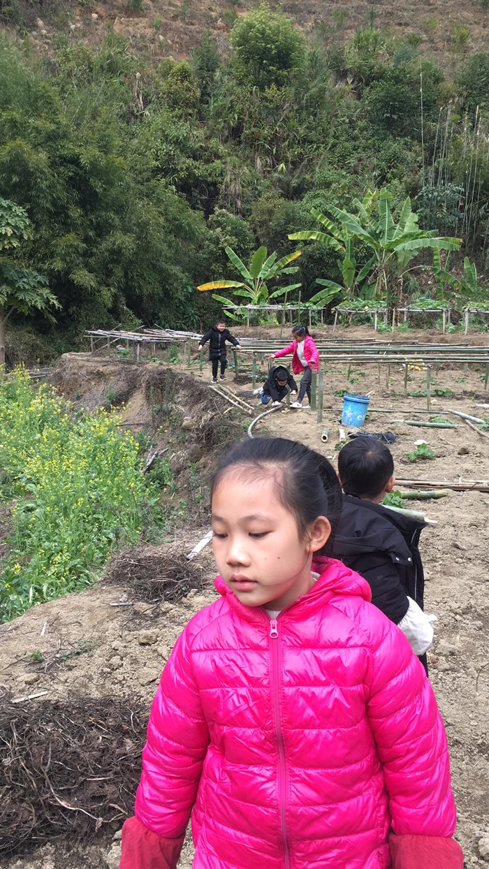 29F24186-41A9-47D0-AE39-E283C9365A8F.jpeg