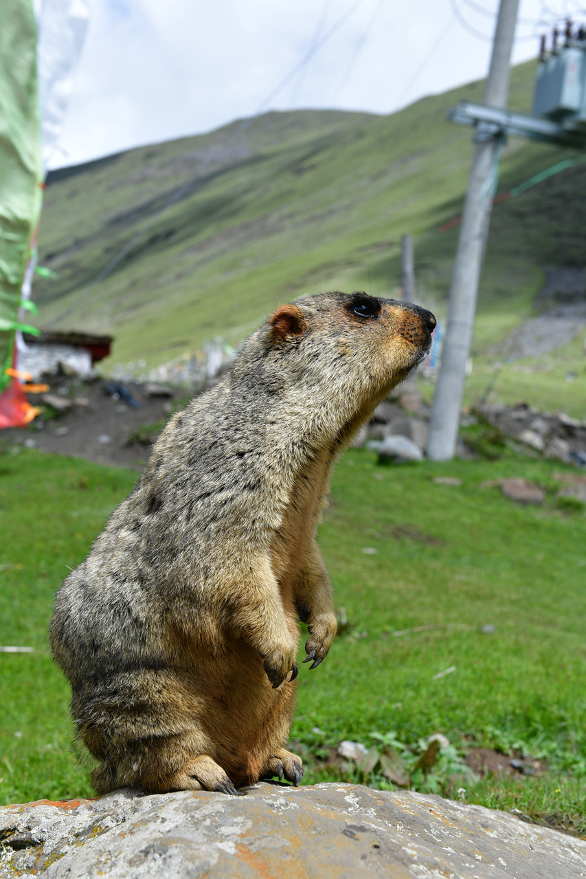 DSC_6777.jpg