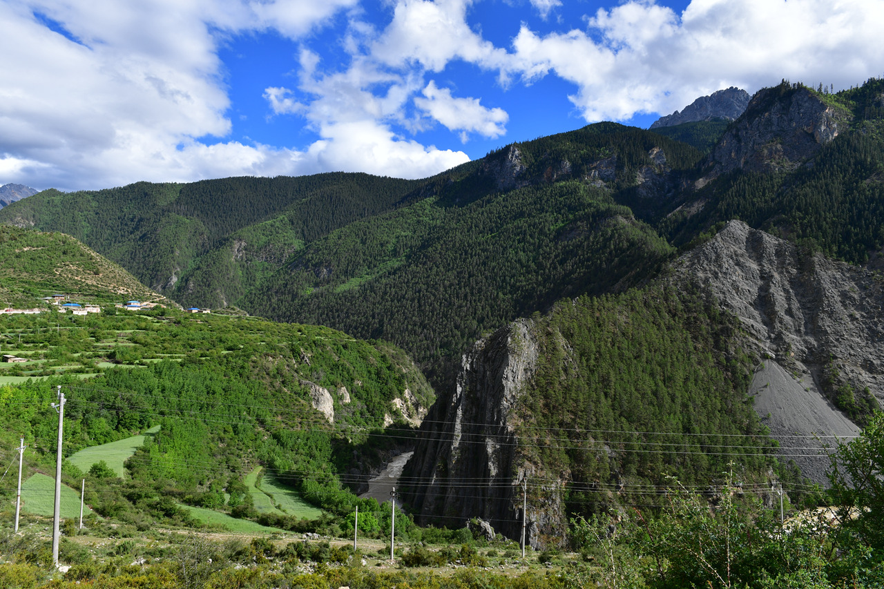 DSC_7262.jpg