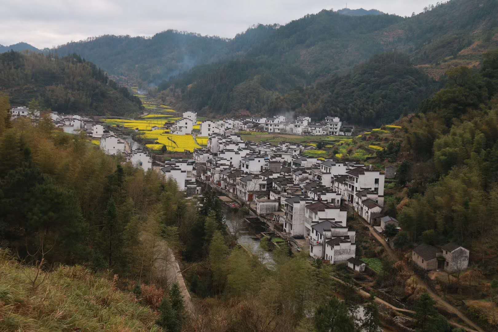 微信图片_20200309145953.jpg