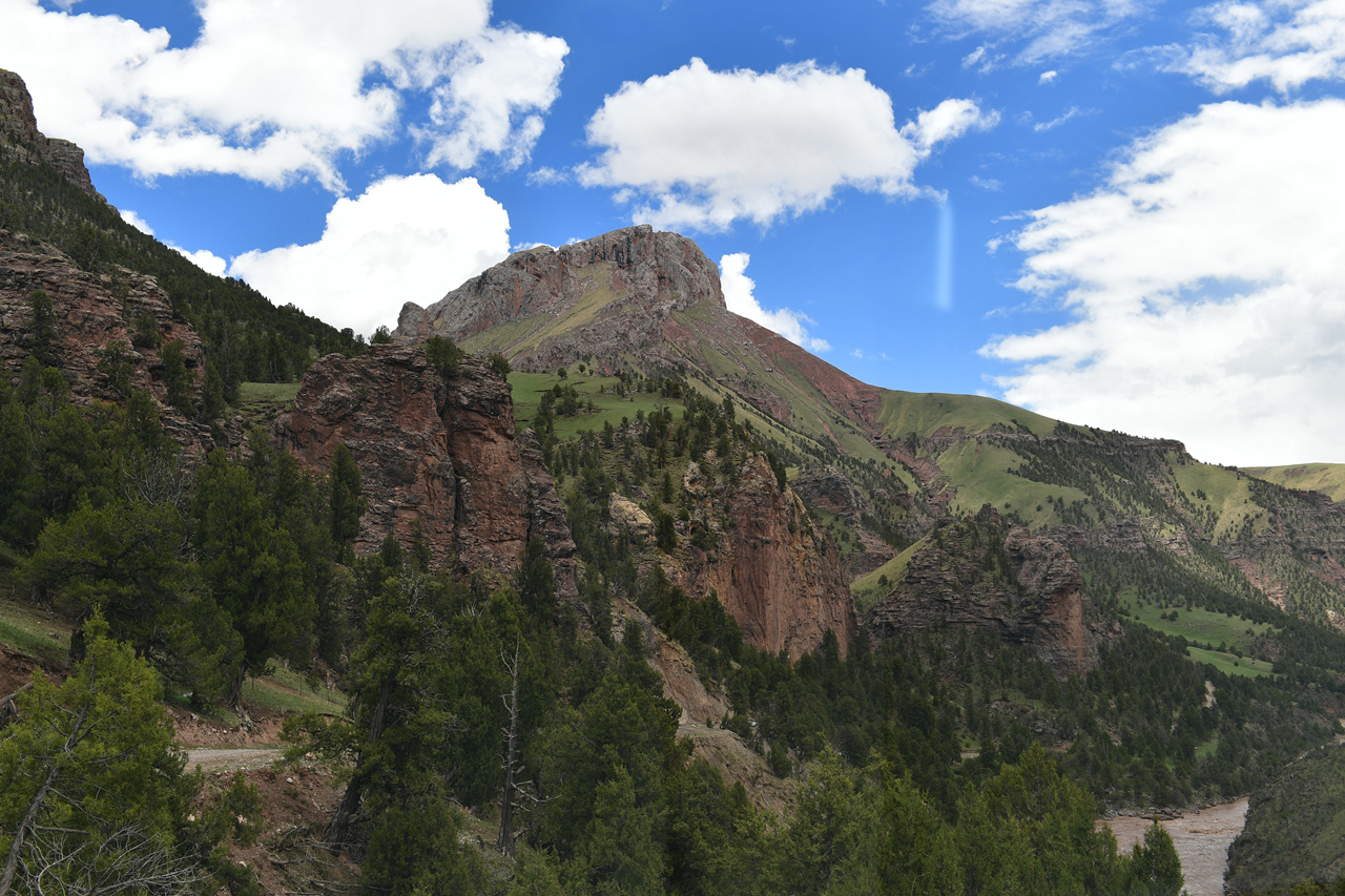 DSC_6928.jpg