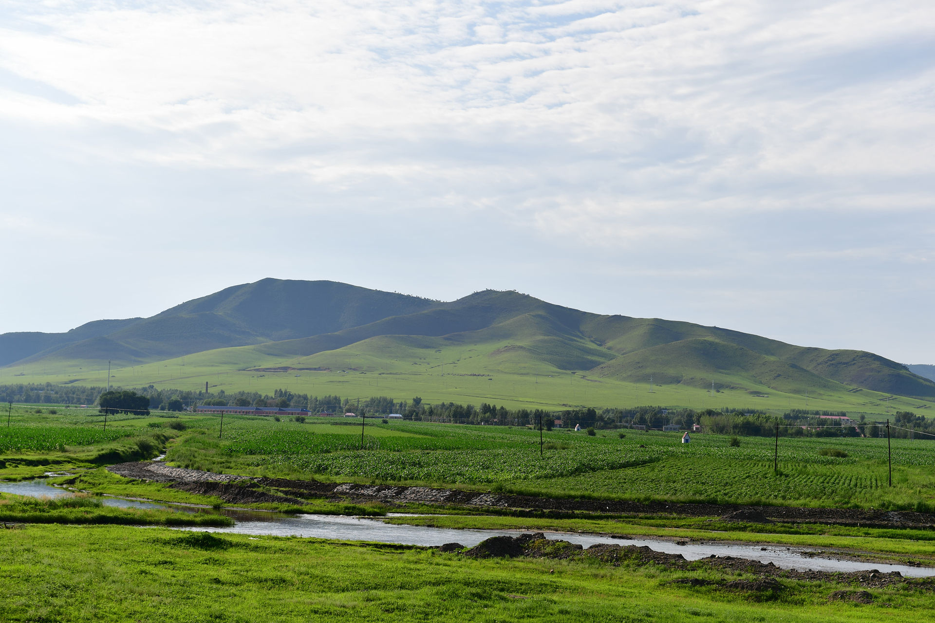 DSC_4691.jpg