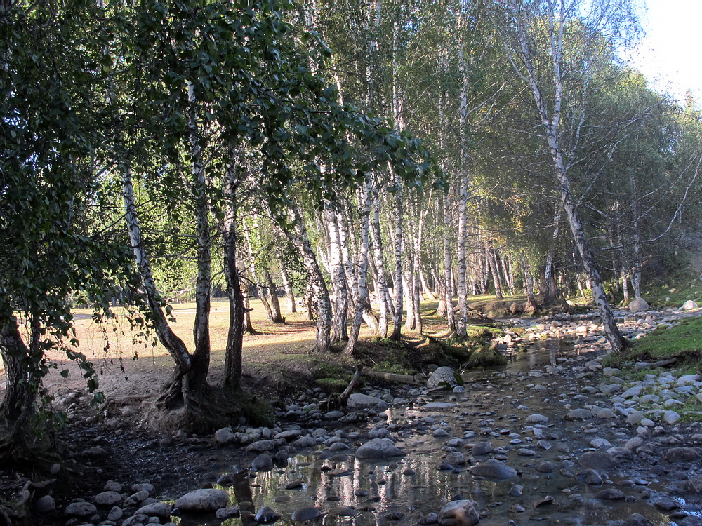 IMG_5140.jpg