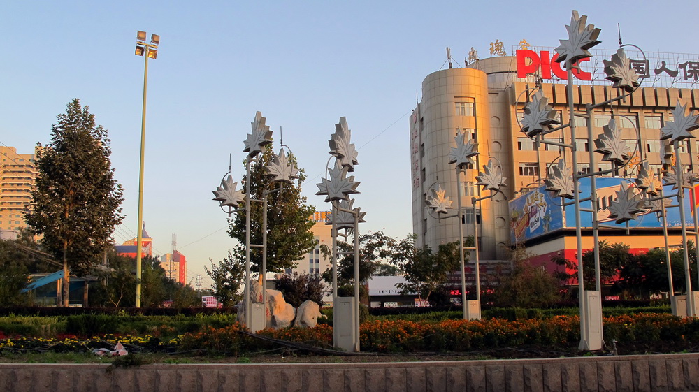 IMG_8788.jpg