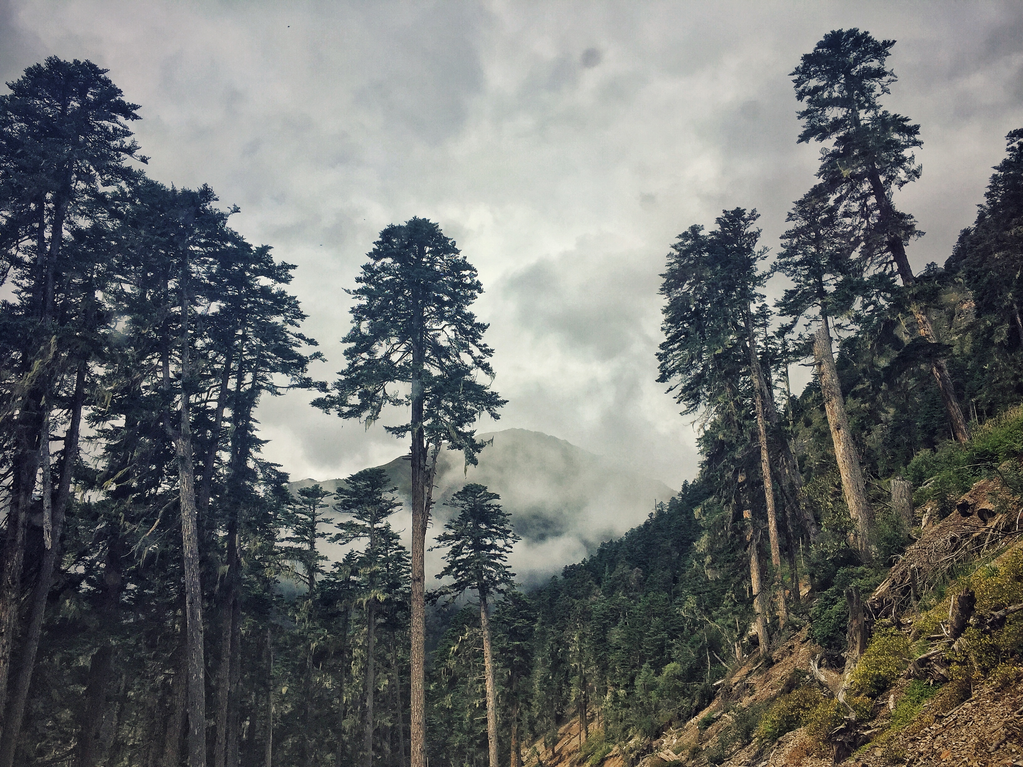 Snapseed 9.jpg