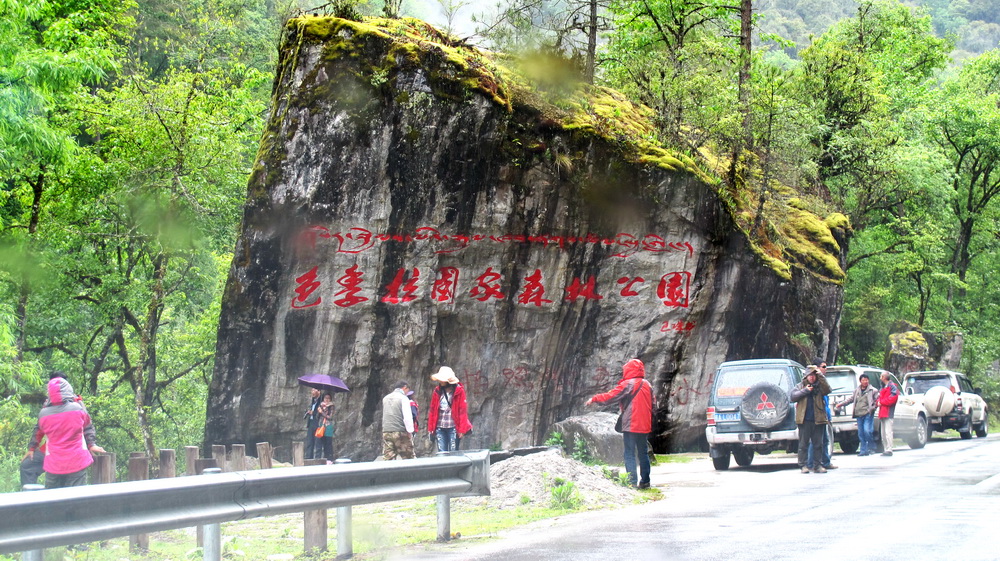 色季拉国家森林公园。