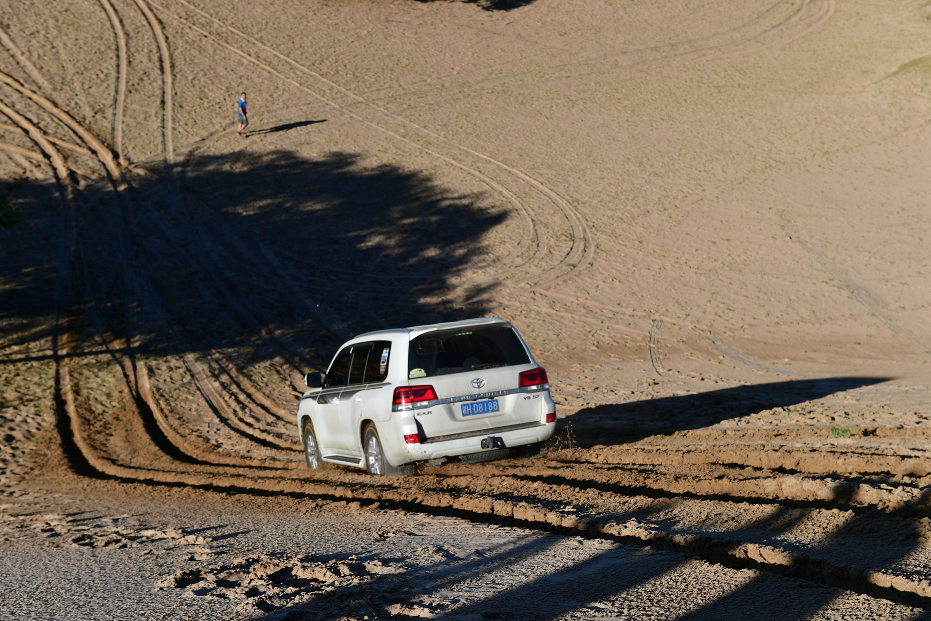 DSC_4617.jpg