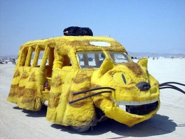 Funny-Cat-Van.jpg