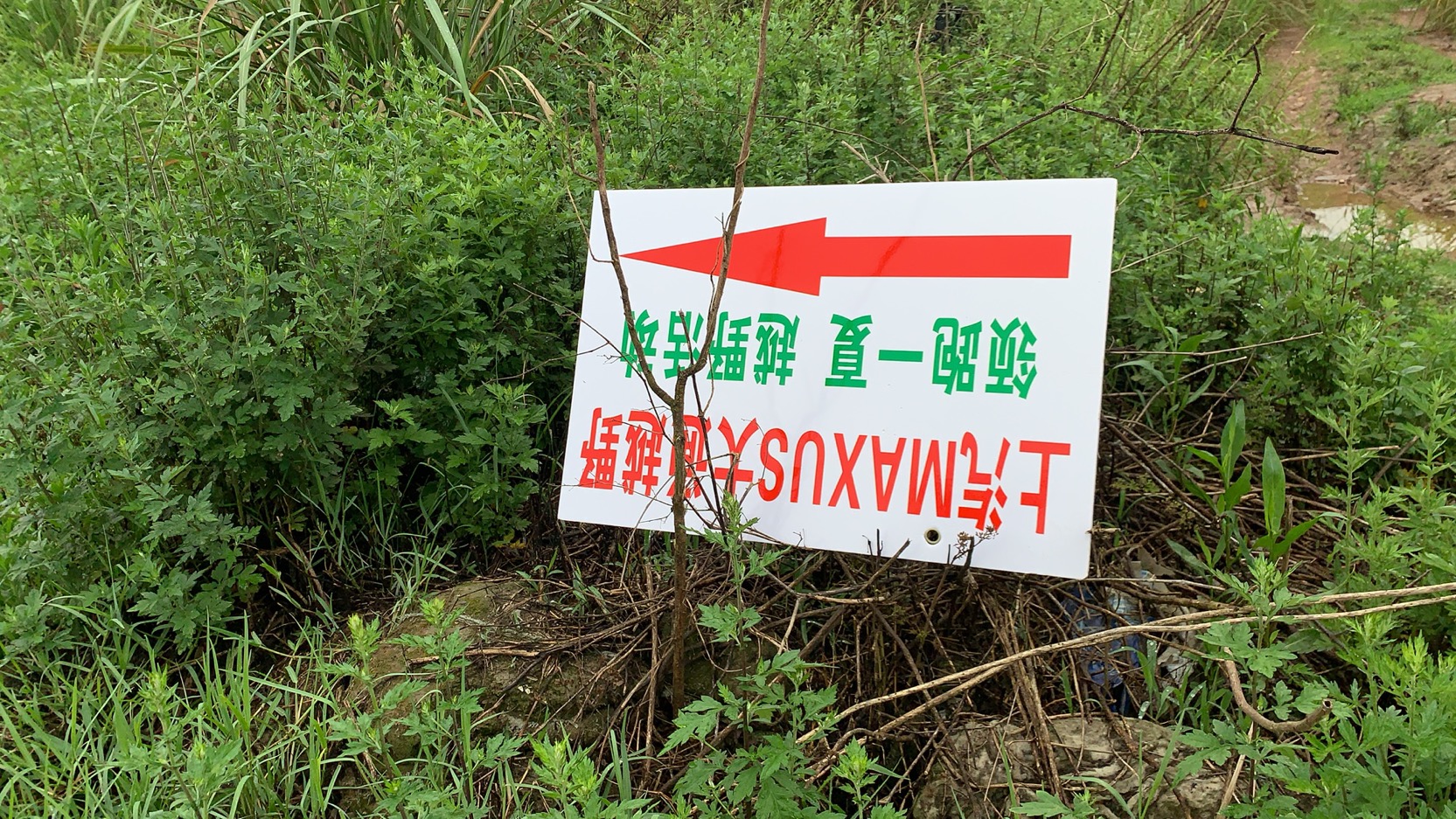 20.7.4活动照片5.jpg