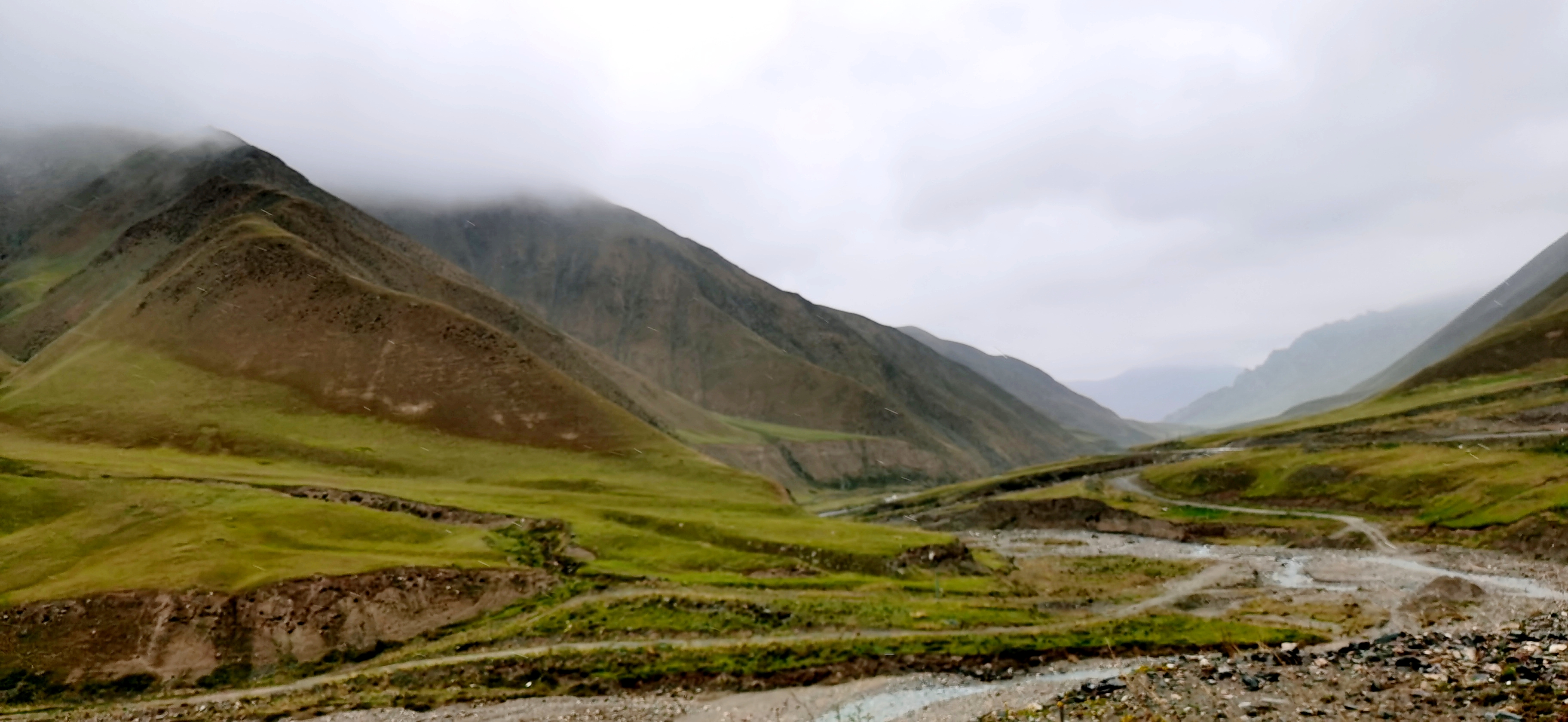 IMG_20200811_105954.jpg