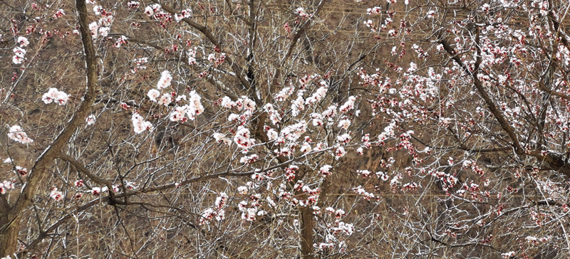 IMG_20210325_114742.jpg