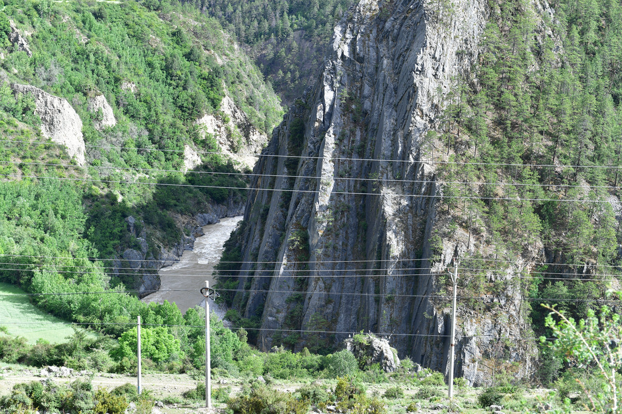 DSC_7261.jpg