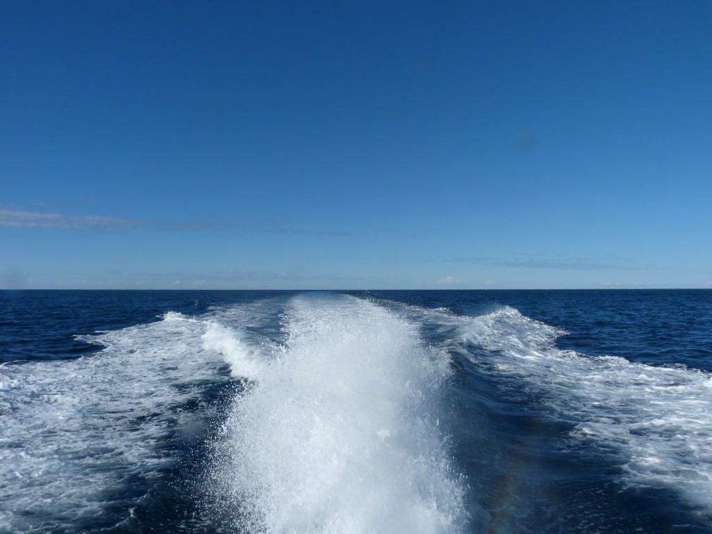 P1140831-Medium.jpg