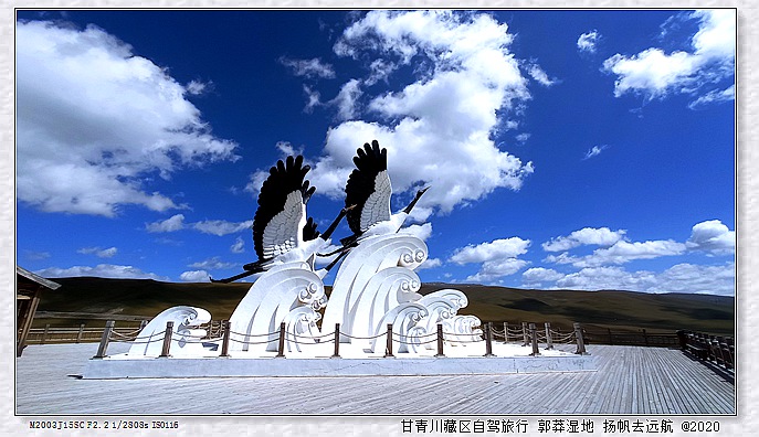IMG_20200917_124203_副本.jpg