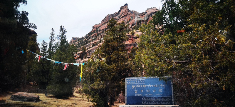 IMG_20210507_145701.jpg