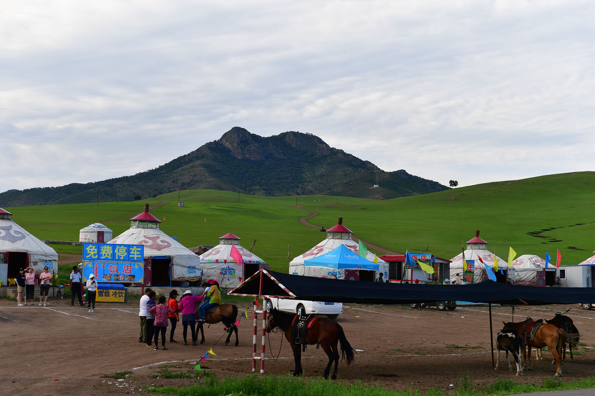 DSC_4696.jpg