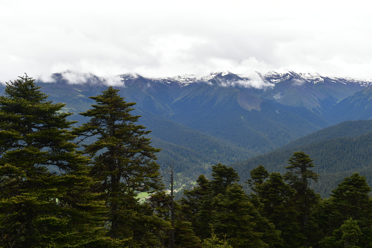 DSC_7101.jpg