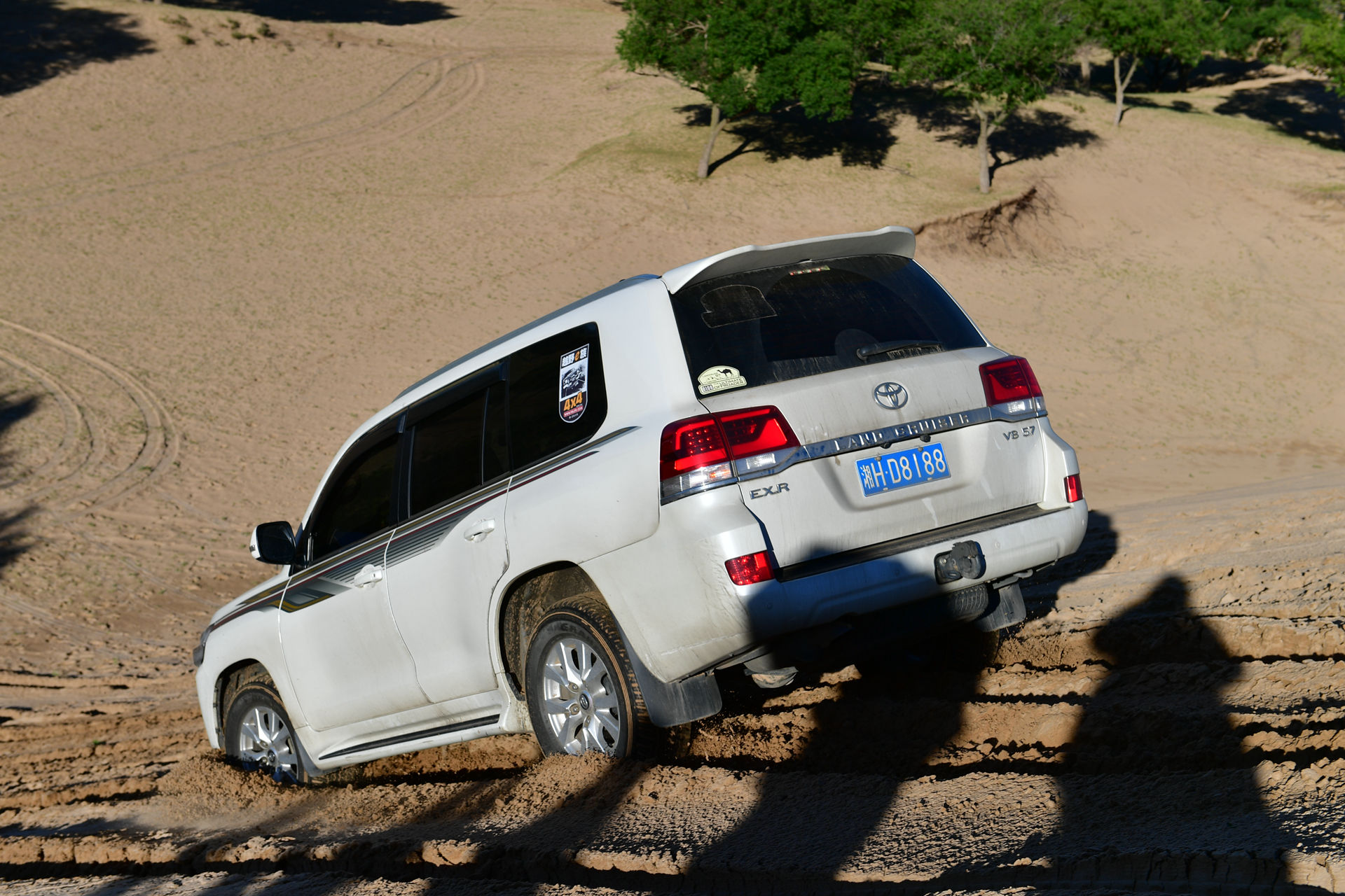 DSC_4598.jpg